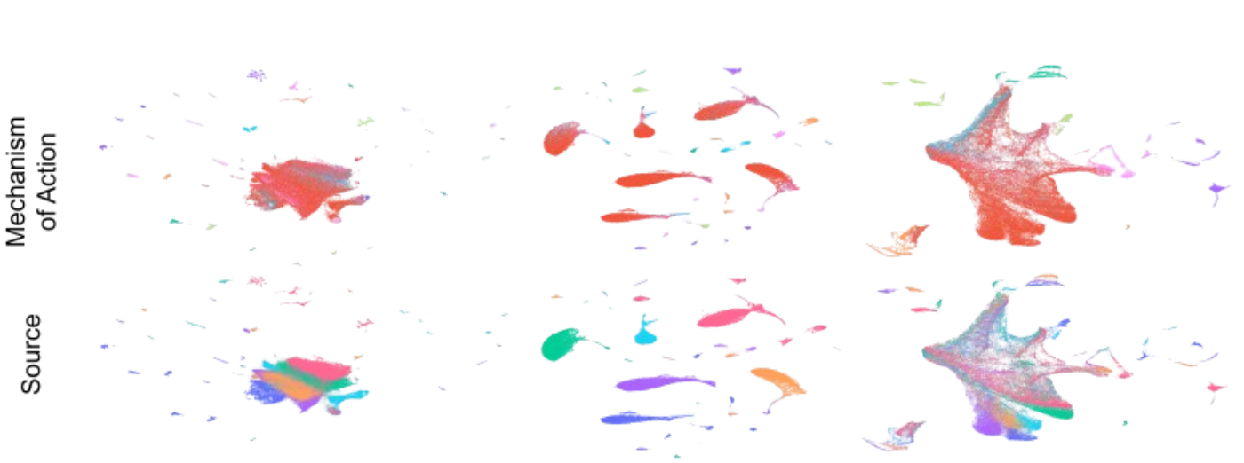 UMAP comparison of uncorrected vs corrected data